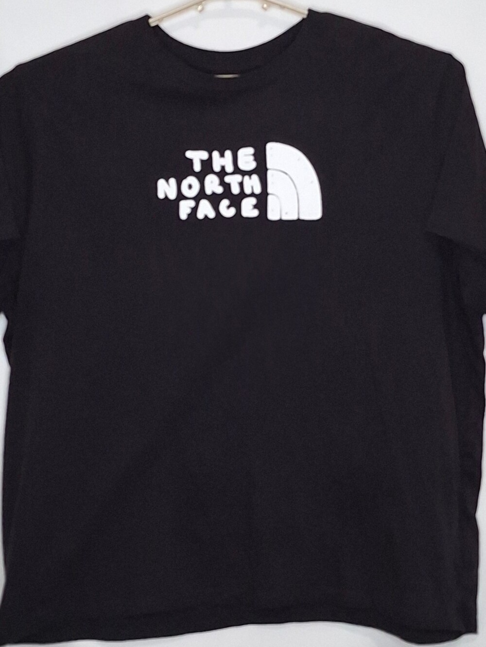 The North Face Women's Evolution Sketch Tshirt